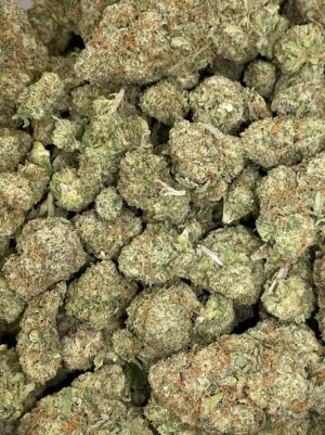 Kraken OG
